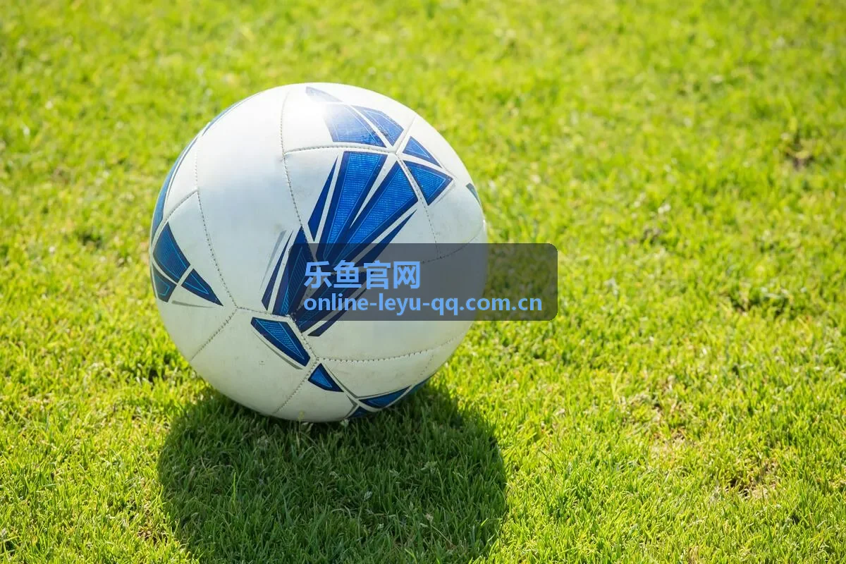 乐鱼官网篮球季后赛封面图