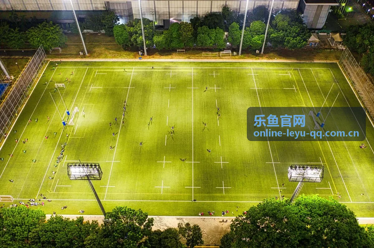 乐鱼官网安全指南防护概览